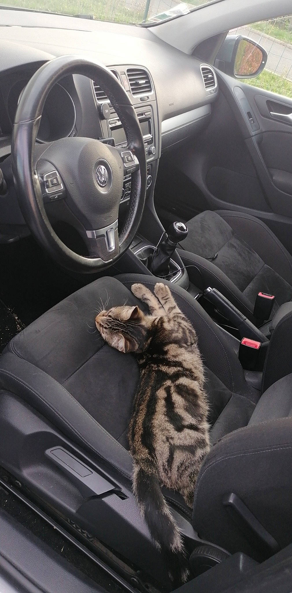 Simba a rejoint le concours — aidez-le/la à gagner de superbes lots ! auto_part, automotive_wheel_system, car, car_seat, car_seat_cover, center_console, city_car, compact_car, family_car, gear_shift, hatchback, land_vehicle, steering_part, steering_wheel, vehicle, vehicle_door, volkswagen, wheel