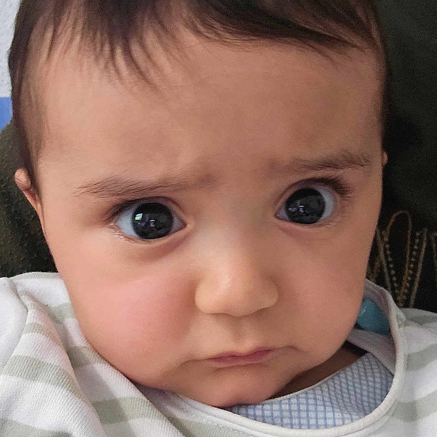 Lea a rejoint le concours — aidez-le/la à gagner de superbes lots ! adorable, baby, butterfly, casual_wear, child, close_up, cute, expression, face, flower, human, indoors, infant, large_eyes, pastel_colors, portrait, soft_lighting, striped_clothing, textured_wall, young