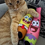 Juni is registered to the contest to win money with this photo: animal, cat, close_up, colorful, companion, couch, cute, domestic, fur, furniture, ginger_cat, indoor, patrick_star, pet, plush_toys, relaxed, soft, spongebob_squarepants, toy, whiskers