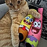 animal, cat, close_up, colorful, companion, couch, cute, domestic, fur, furniture, ginger_cat, indoor, patrick_star, pet, plush_toys, relaxed, soft, spongebob_squarepants, toy, whiskers
