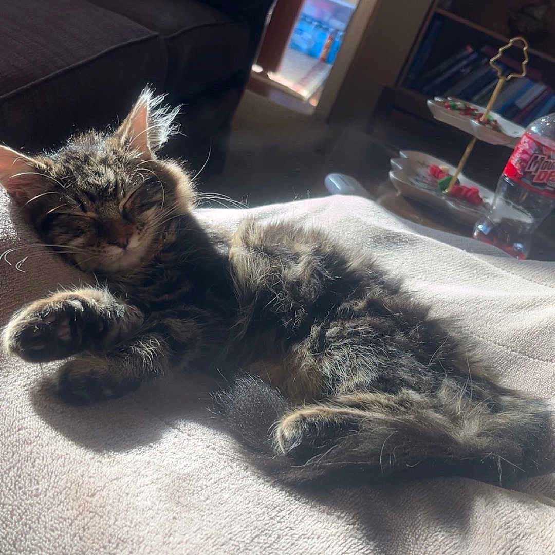 Lulu