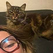 Inouï a rejoint le concours — aidez-le/la à gagner de superbes lots ! person, cat, glasses, nose_ring, happy, smiling, tabby_cat, indoor, couch, fur, whiskers, hair, face, mouth_open, eyewear, pet, relaxed, brown, black, furniture