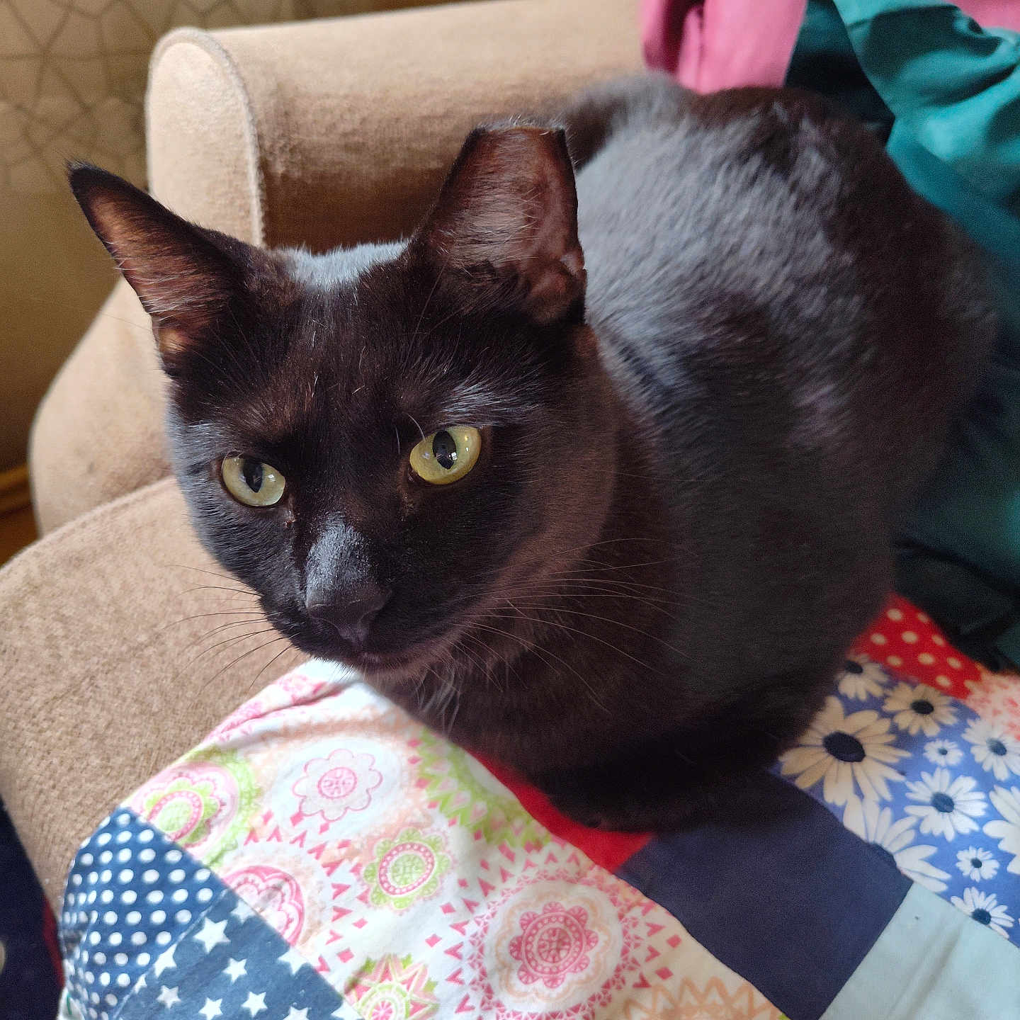 Onyx