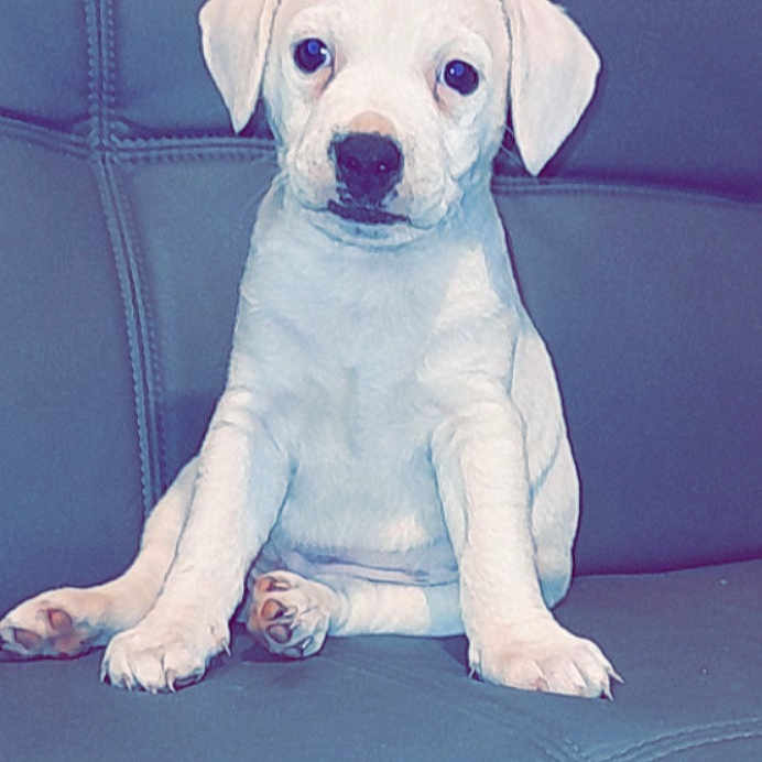 Buster