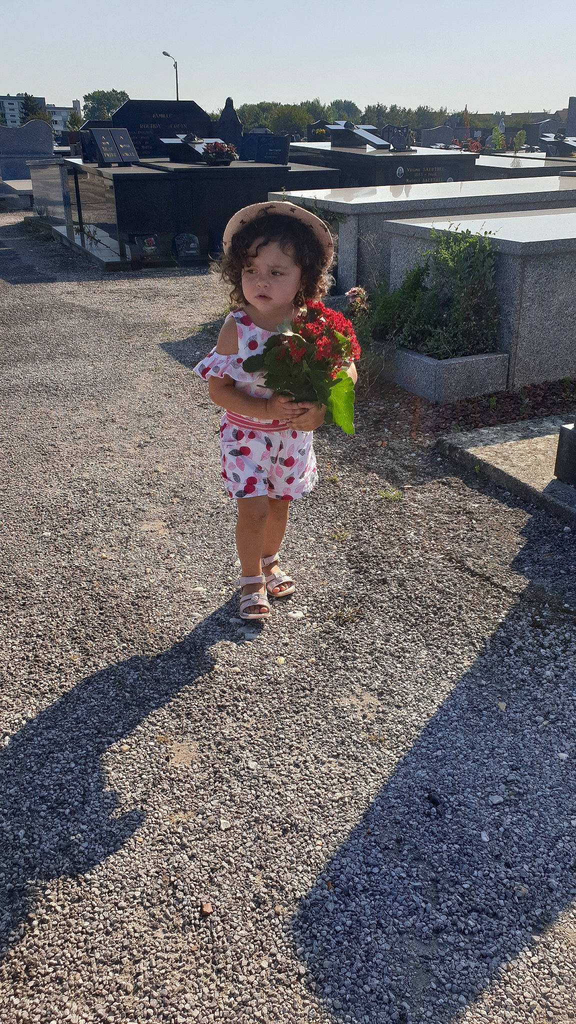 Maëlys participe au concours pour gagner de l'argent avec cette photo : child, dress, flower, garden, grass, leaf, leisure, person, plant, play, recreation, shadow, snapshot, soil, toddler, tree, vacation, yard