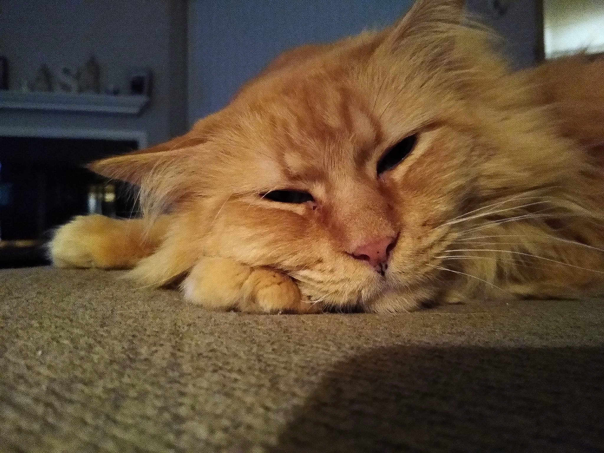 Mufasa