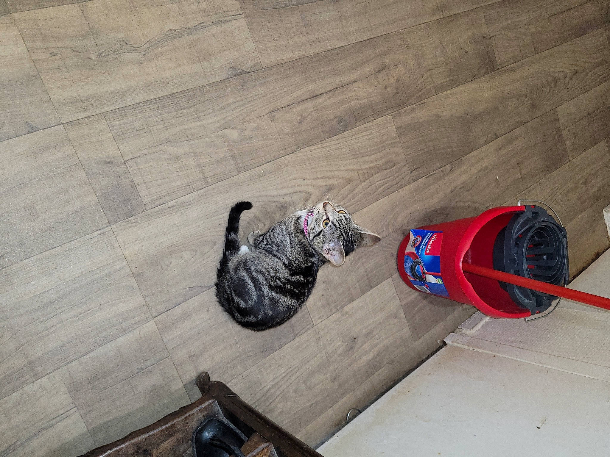 Kiara a rejoint le concours — aidez-le/la à gagner de superbes lots ! asphalt, auto_part, automotive_tire, automotive_wheel_system, boot, carmine, composite_material, concrete, floor, flooring, gas, glove, hardwood, human_leg, outdoor_shoe, road_surface, walking_shoe, wood, wood_flooring, wood_stain