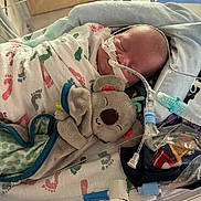Garrett joined the competition — help win amazing prizes! newborn, baby, hospital, incubator, medical_tubes, blanket, footprints, plush_toy, koala, sleeping, swaddled, infant, healthcare, nursery, cute, peaceful, child, patient, soft_toy, bed