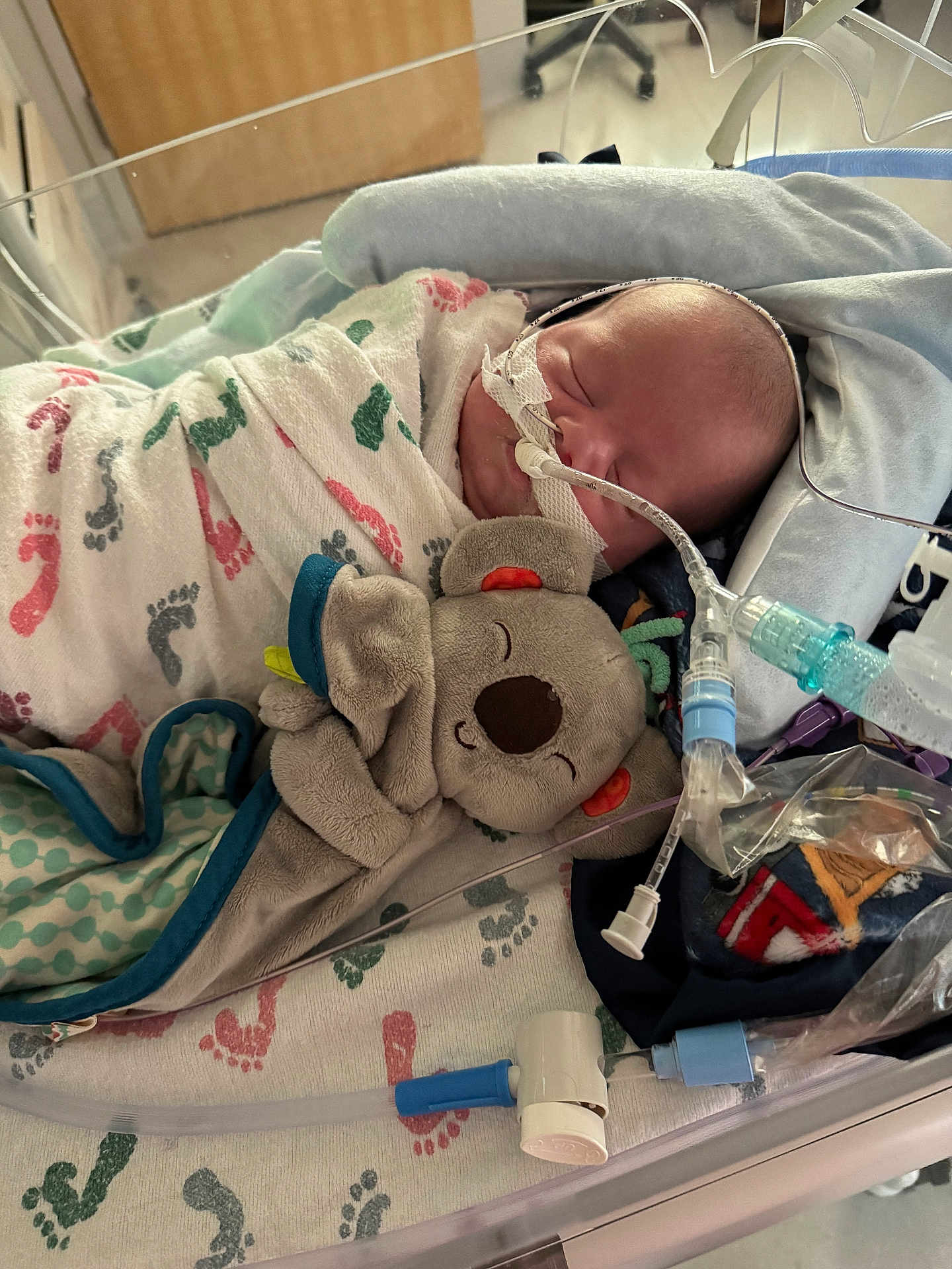 Garrett joined the competition — help win amazing prizes! newborn, baby, hospital, incubator, medical_tubes, blanket, footprints, plush_toy, koala, sleeping, swaddled, infant, healthcare, nursery, cute, peaceful, child, patient, soft_toy, bed