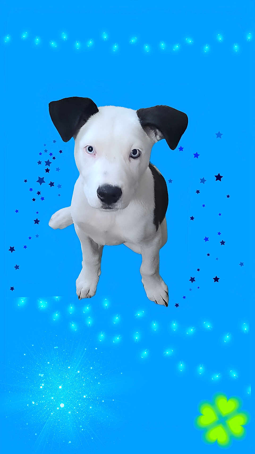 Snoopy
