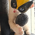 Geremy D.