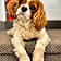 Tucker