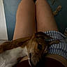 Alma participe au concours pour gagner de l'argent avec cette photo : dog, person, lap, shorts, striped_clothing, maroon_top, resting, indoor, blue_wall, decor, relaxation, pet, animal, comfort, casual, legs, skin, head, calm, cozy