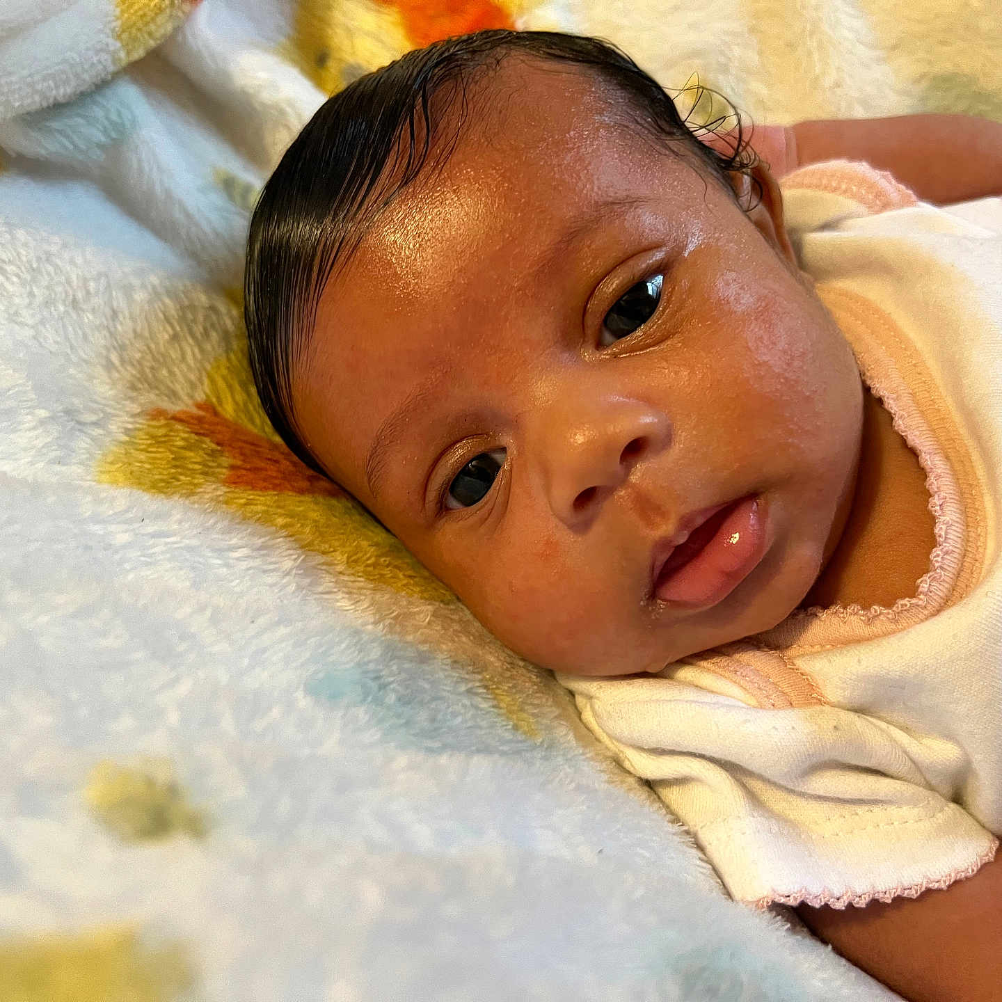Alani