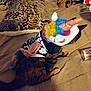 Torrie joined the competition — help win amazing prizes! animal, bed, blanket, cat, colorful, costume, cozy, cup, cute, feline, flame_design, fur, horn, indoor, leopard_print, pet, rainbow, resting, tail, unicorn_costume