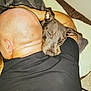 affection, bald, black_shirt, blanket, closeup, comfort, companionship, cuddle, dog, ear, head, hug, indoor, love, man, pet, relaxation, resting, skin, sleepy