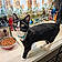 Tuxie