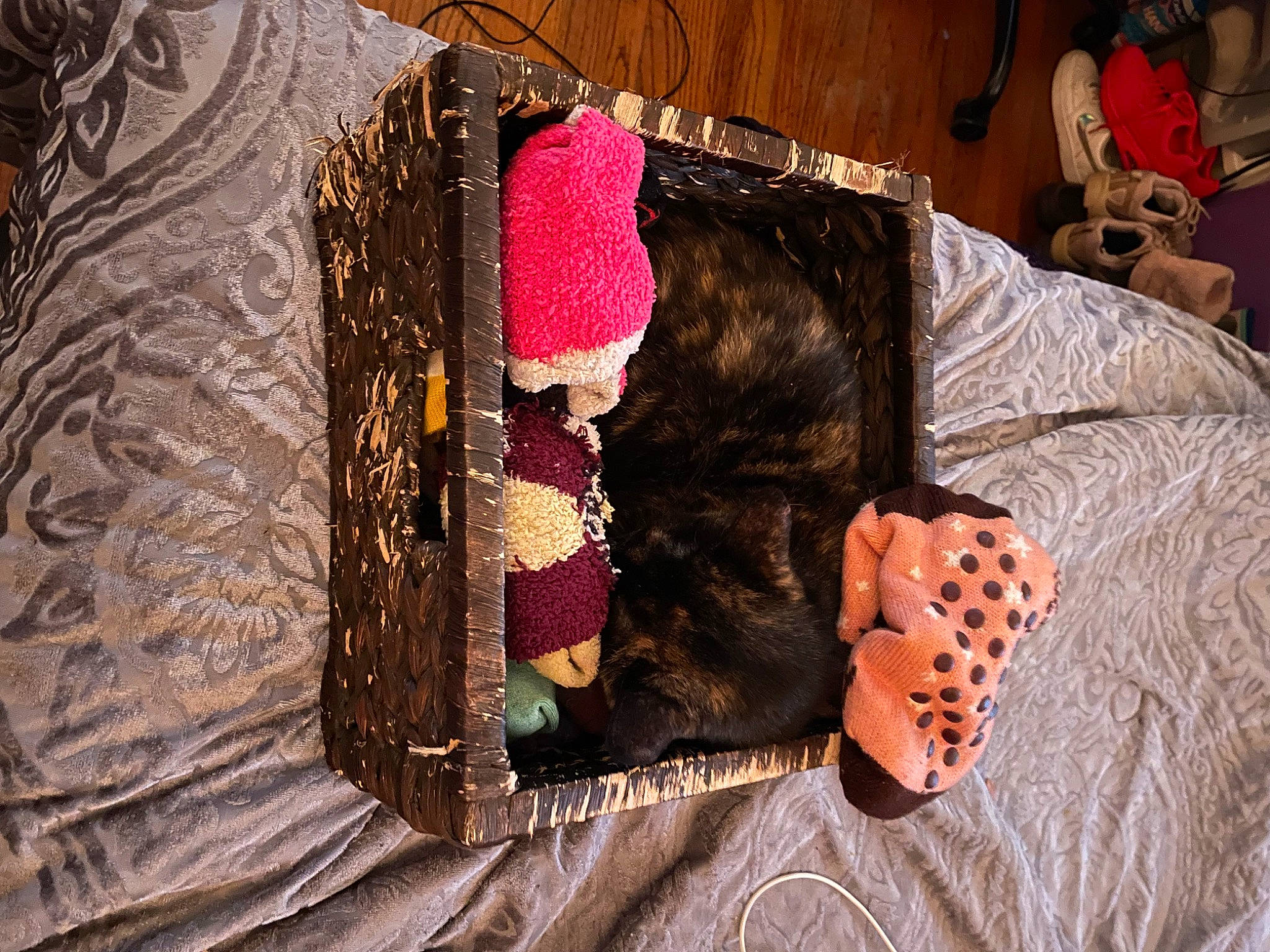 Missy joined the competition — help win amazing prizes! baby_toddler_clothing, bag, brown, carmine, comfort, creative_arts, fashion, fashion_accessory, fashion_design, fur, linens, magenta, pattern, pink, room, sleeve, textile, wood, wool, woolen