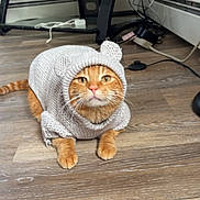 Rufus joined the competition — help win amazing prizes! animal, cables, cat, computer_equipment, costume, cute, desk, funny, furry, green_eyes, hood, indoors, knitted_clothing, office, orange_cat, pet, portrait, sitting, whiskers, wooden_floor