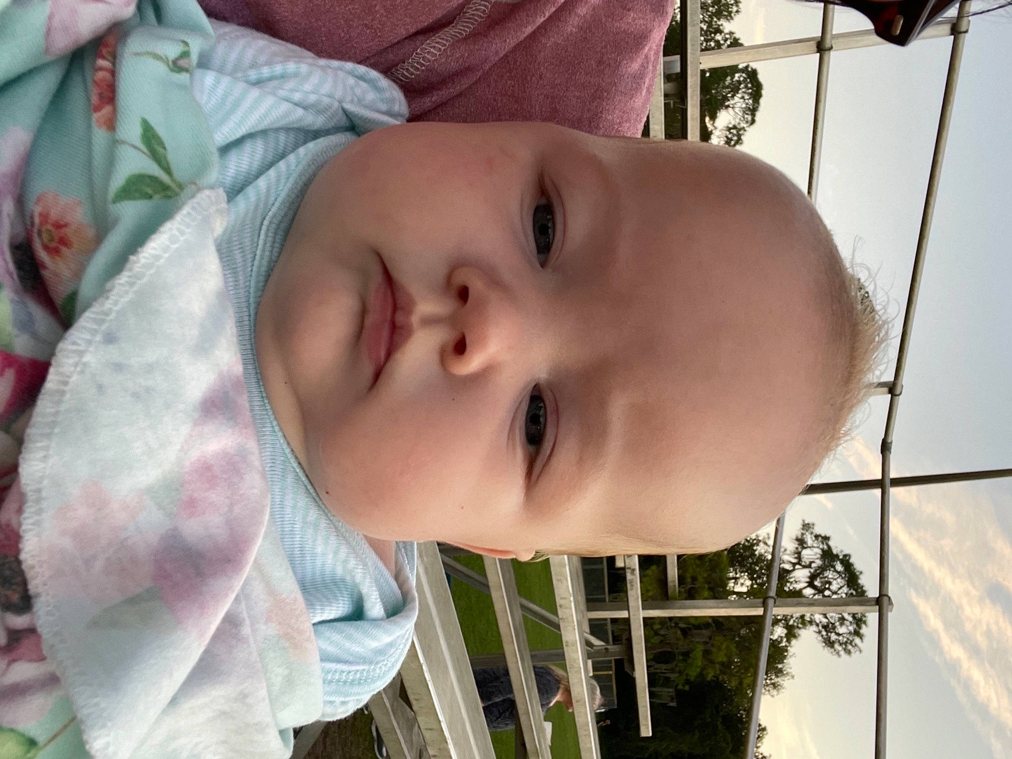 Ireland is registered to the contest to win money with this photo: baby_toddler_clothing, cheek, chin, eyebrow, eyelash, facial_expression, human_body, iris, leaf, lip, mammal, mouth, nose, organ, person, plant, skin, smile, tree, vertebrate