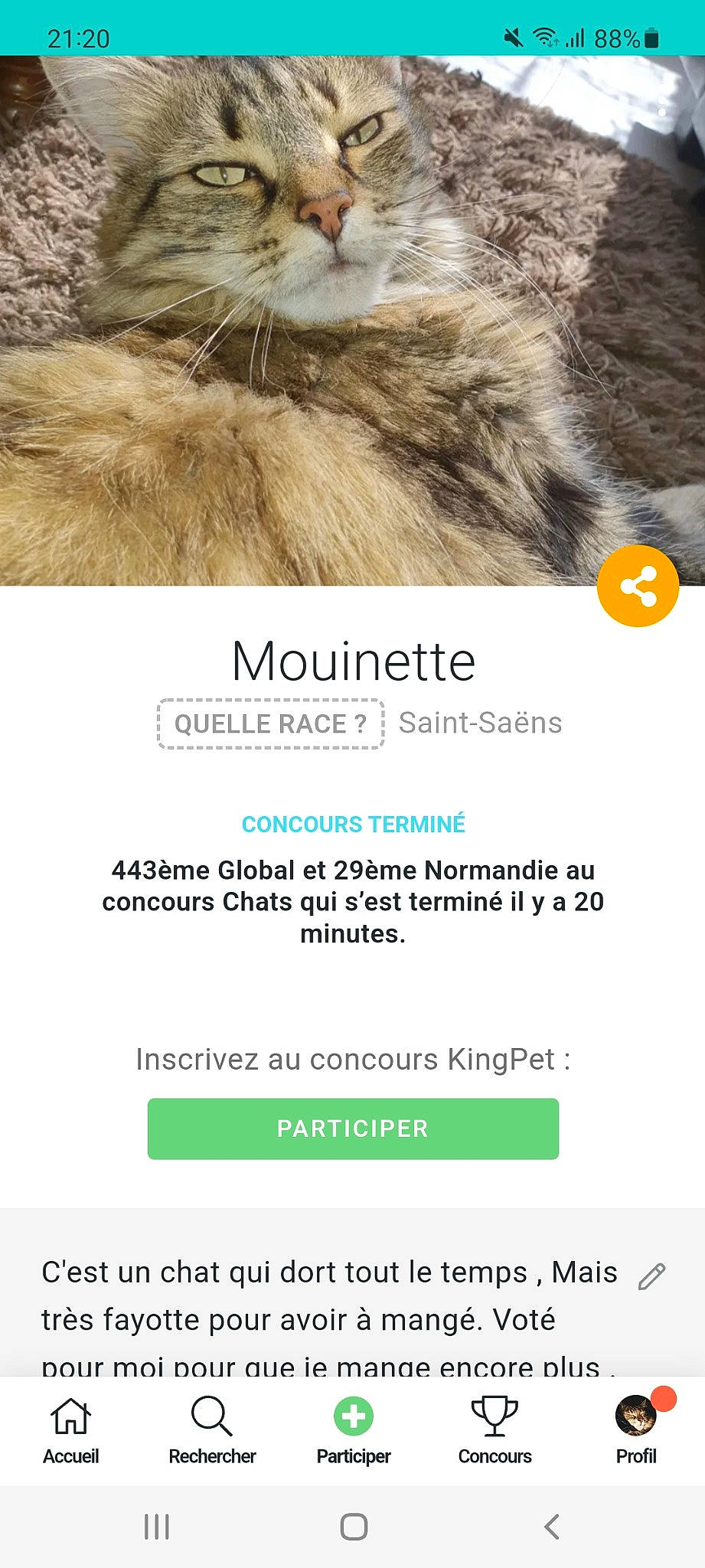 Mouinette participe au concours pour gagner de l'argent avec cette photo : advertising, brand, carnivore, cat, dog_breed, felidae, font, fur, liver, logo, multimedia, paw, photo_caption, screenshot, small_to_medium_sized_cats, snout, terrestrial_animal, web_page, whiskers, wildlife