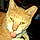 Butters