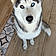 Royce