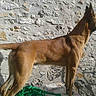 He?ko participe au concours pour gagner de l'argent avec cette photo :