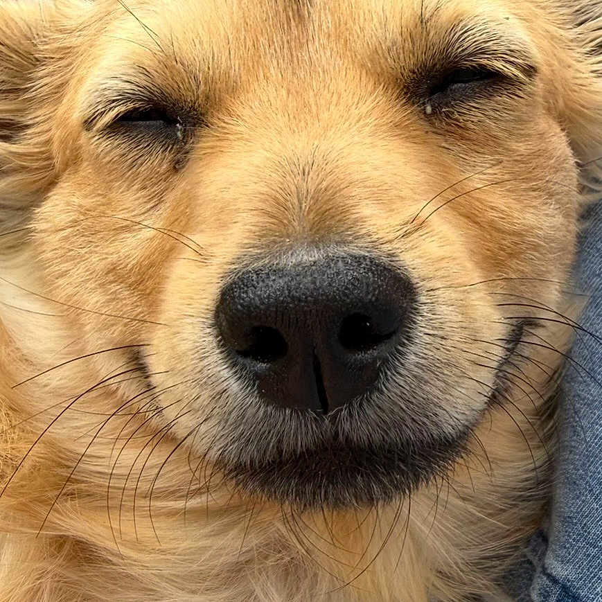 Skye
