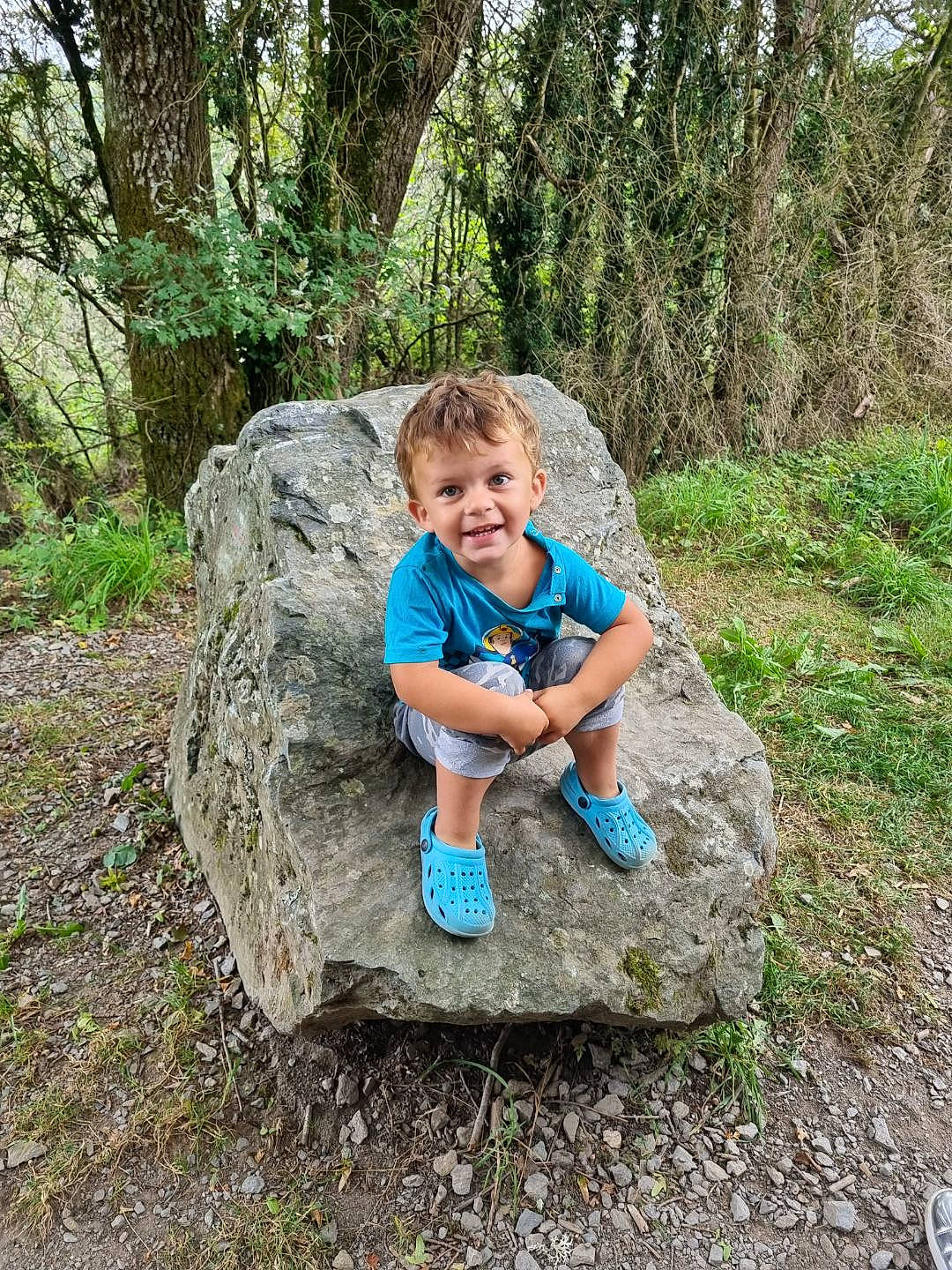 Andy participe au concours pour gagner de l'argent avec cette photo : bedrock, biome, botany, forest, grass, grass_family, groundcover, joy, landscape, leaf, leisure, natural_environment, people_in_nature, person, plant, smile, t_shirt, toddler, tree, trunk