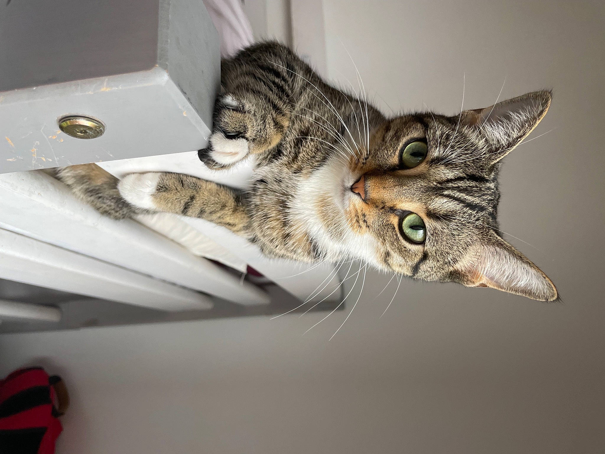 Nala