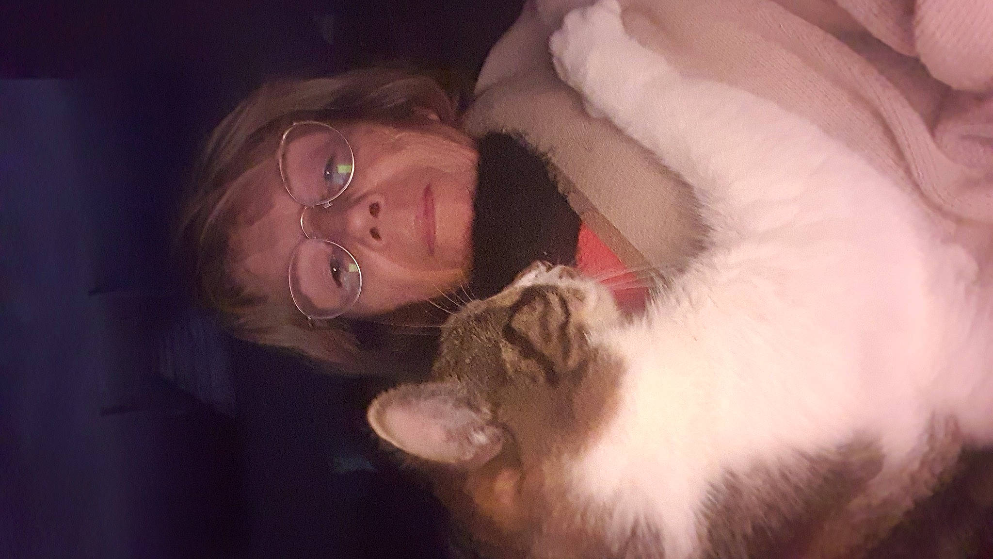 Lulu a rejoint le concours — aidez-le/la à gagner de superbes lots ! beard, carnivore, cat, comfort, ear, fawn, felidae, flash_photography, glasses, hair, head, human_body, jaw, long_hair, mouth, neck, nose, small_to_medium_sized_cats, snout, whiskers