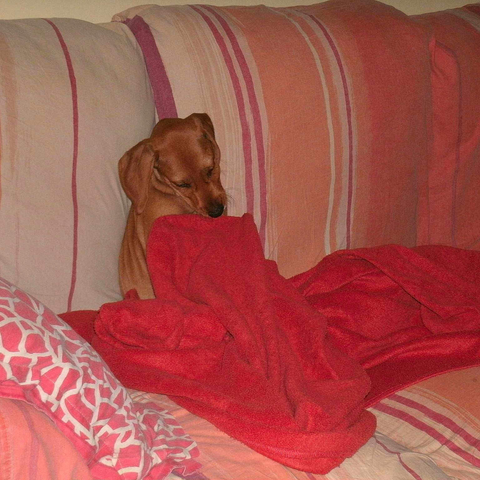 Ulysse participe au concours pour gagner de l'argent avec cette photo :