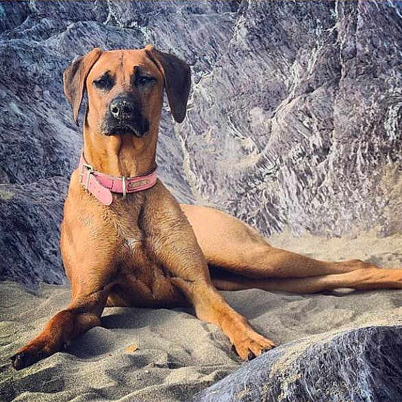 Bella joined the competition — help win amazing prizes!