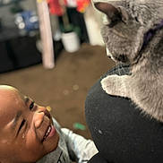 Rosie Waffles is registered to the contest to win money with this photo: baby, cat, infant, smiling, laughing, face, eyes, whiskers, gray_cat, pet, animal, indoor, close_up, portrait, candid, human, child, lap, purple_collar, home