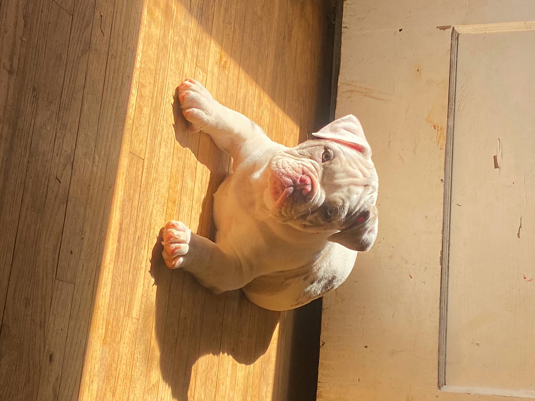 Kane is registered to the contest to win money with this photo: child, door, elbow, flesh, flooring, foot, fun, gesture, hand, hardwood, human_body, human_leg, knee, leg, thigh, thumb, waist, window, wood, wrist