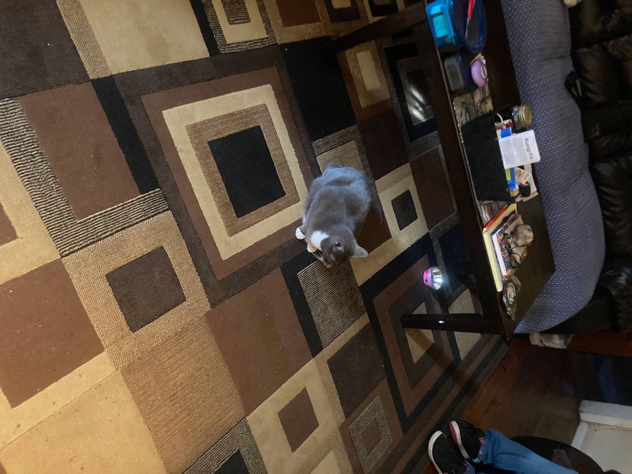 Pikachu is registered to the contest to win money with this photo: building, ceiling, daylighting, floor, flooring, glass, hardwood, house, interior_design, metal, pattern, rectangle, room, space, symmetry, tile, urban_design, visual_arts, wood