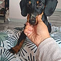 Cécilia G.