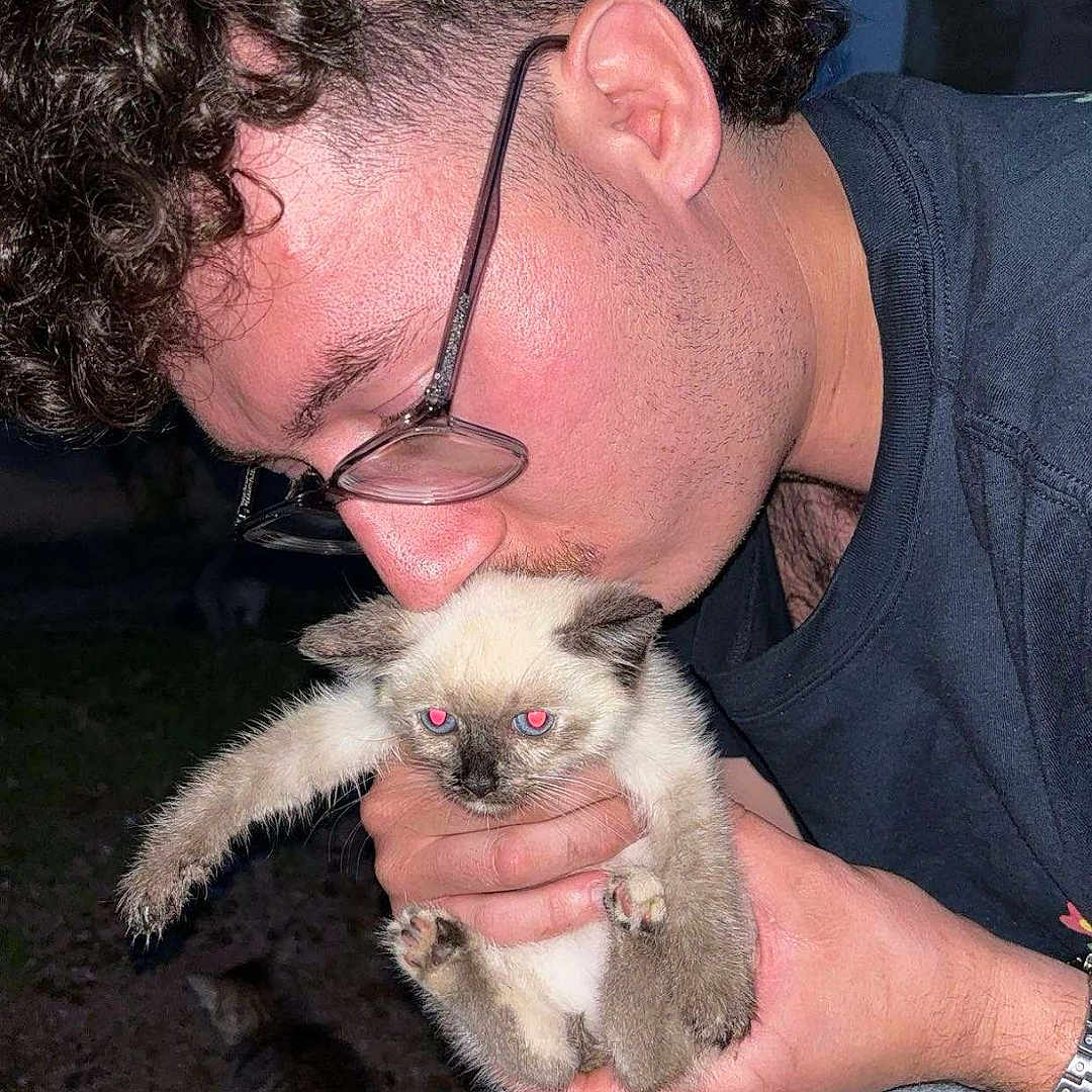 Blazée Rip a rejoint le concours — aidez-le/la à gagner de superbes lots ! accessories, adult, animal, canine, cat, dog, earring, face, glasses, head, kitten, male, man, person, pet, photography, portrait, puppy, siamese, wristwatch