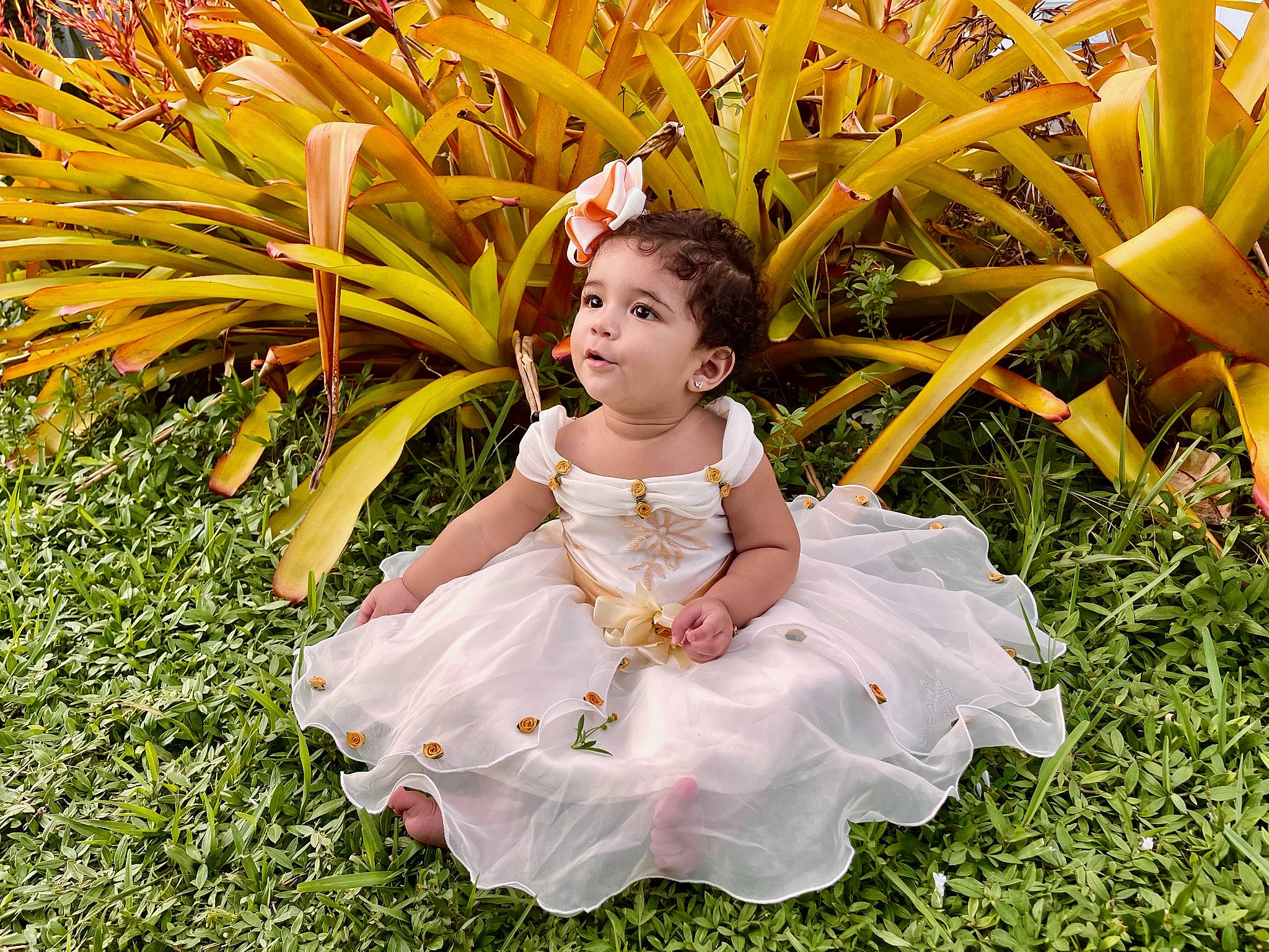 Amira joined the competition — help win amazing prizes! baby, baby_toddler_clothing, chair, day_dress, dress, eye, fun, garden, grass, grass_family, happy, leisure, people_in_nature, person, petal, plant, ruffle, sitting, smile, terrestrial_plant