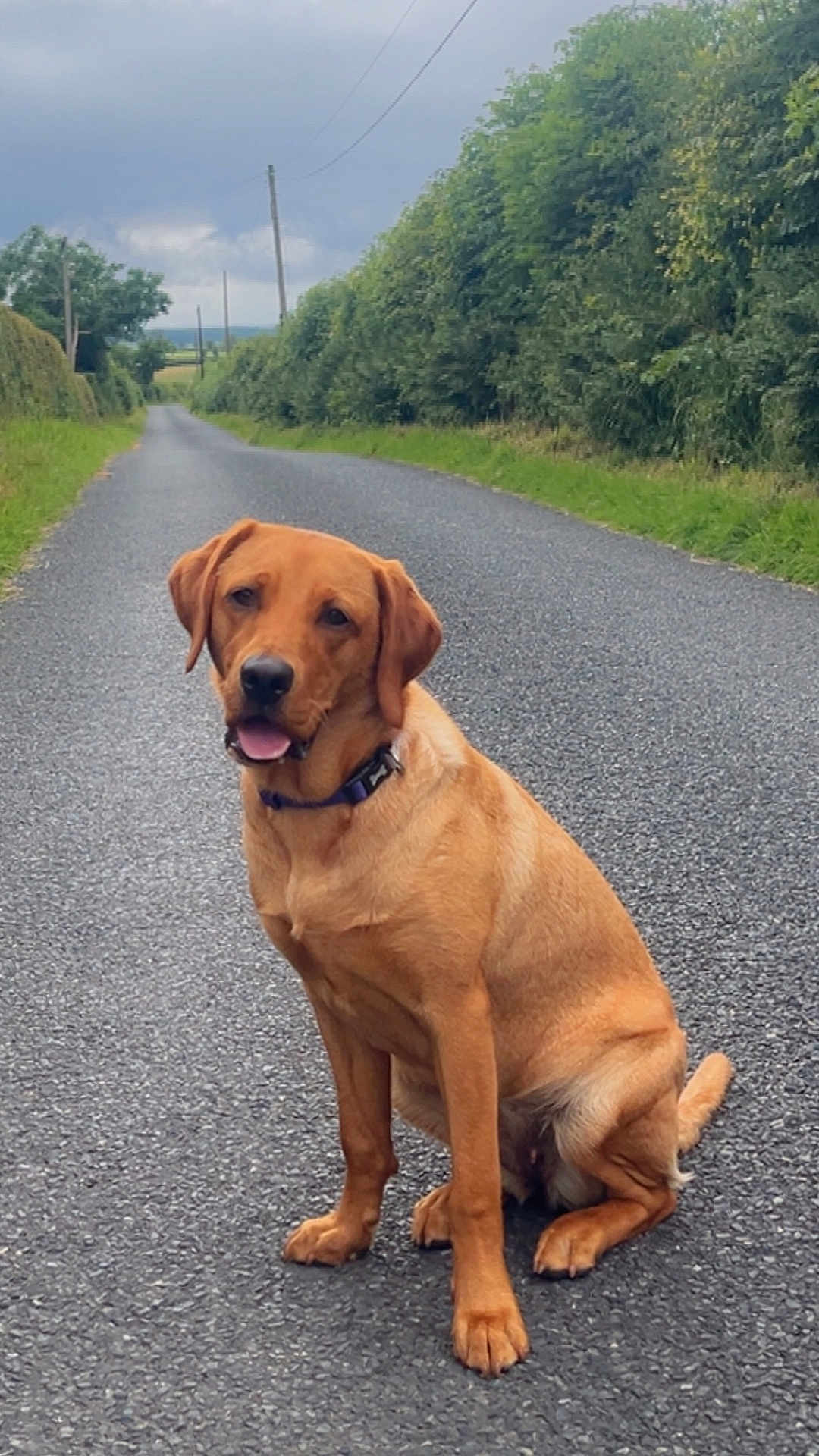 Nova