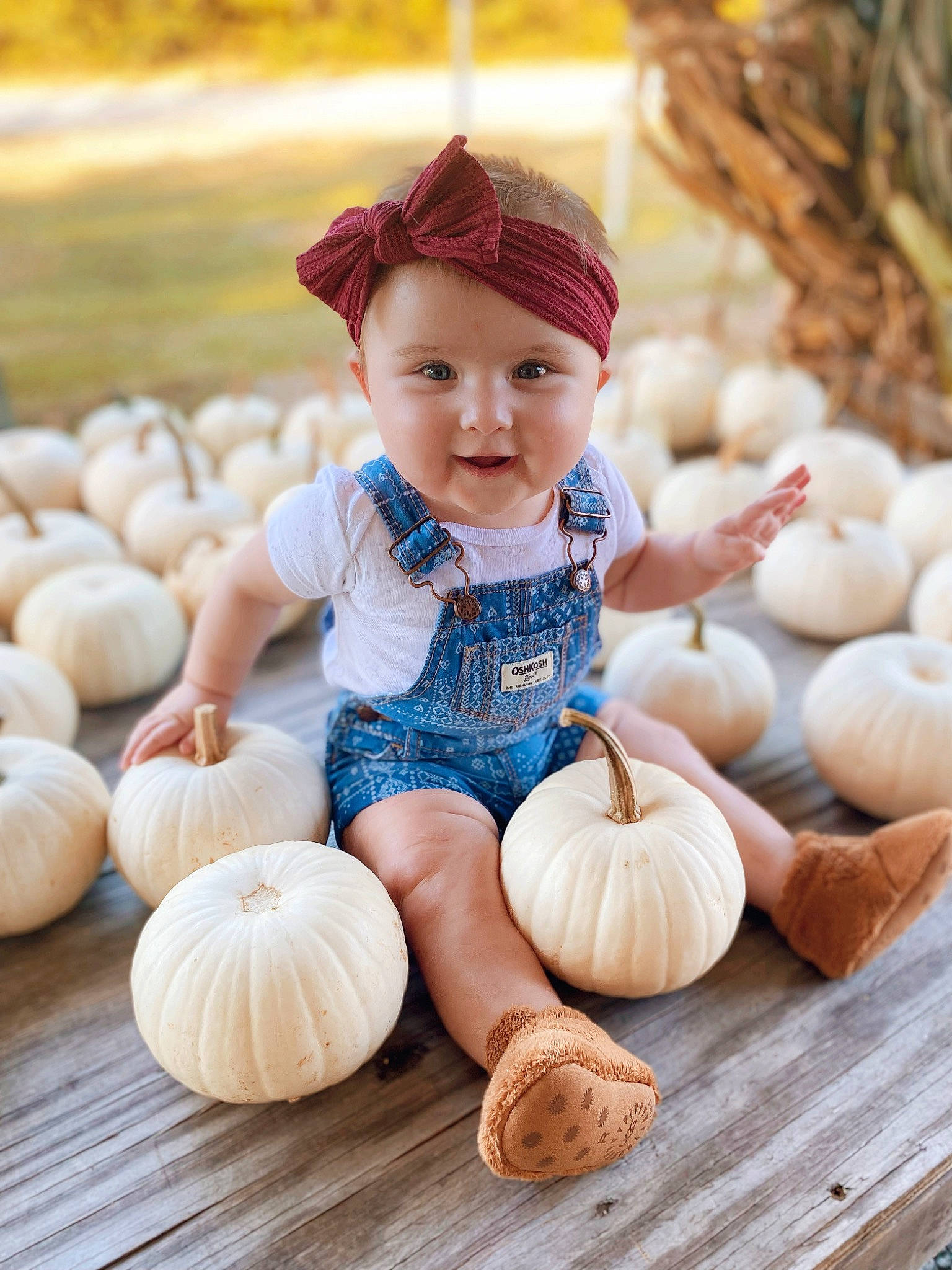 Frankie is registered to the contest to win money with this photo: calabaza, clothing, dress, eye, face, hand, happy, headgear, human_body, leg, natural_foods, orange, people_in_nature, person, plant, pumpkin, shorts, smile, squash, winter_squash