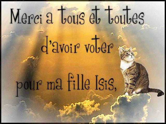Isis participe au concours pour gagner de l'argent avec cette photo : adaptation, art, book_cover, carnivore, cat, cloud, felidae, font, happy, illustration, landscape, morning, natural_landscape, photo_caption, poster, sky, small_to_medium_sized_cats, tail, terrestrial_animal, whiskers