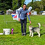 man, dog, husky, grass, outdoor, park, event, leash, blue_shirt, black_pants, sunny, tent, banner, car, greenery, pet, animal, smile, competition, rosette