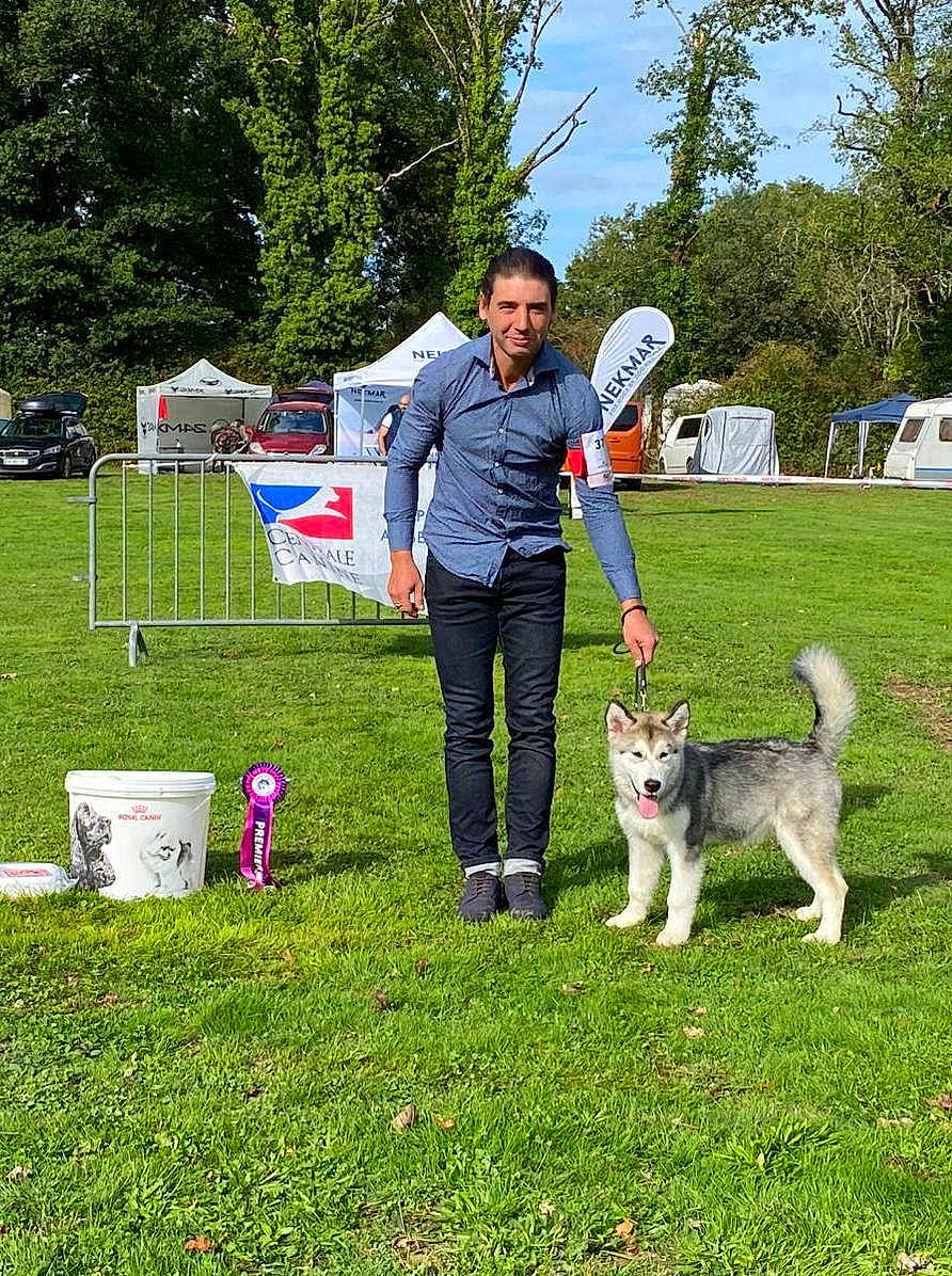 Alpha a rejoint le concours — aidez-le/la à gagner de superbes lots ! man, dog, husky, grass, outdoor, park, event, leash, blue_shirt, black_pants, sunny, tent, banner, car, greenery, pet, animal, smile, competition, rosette