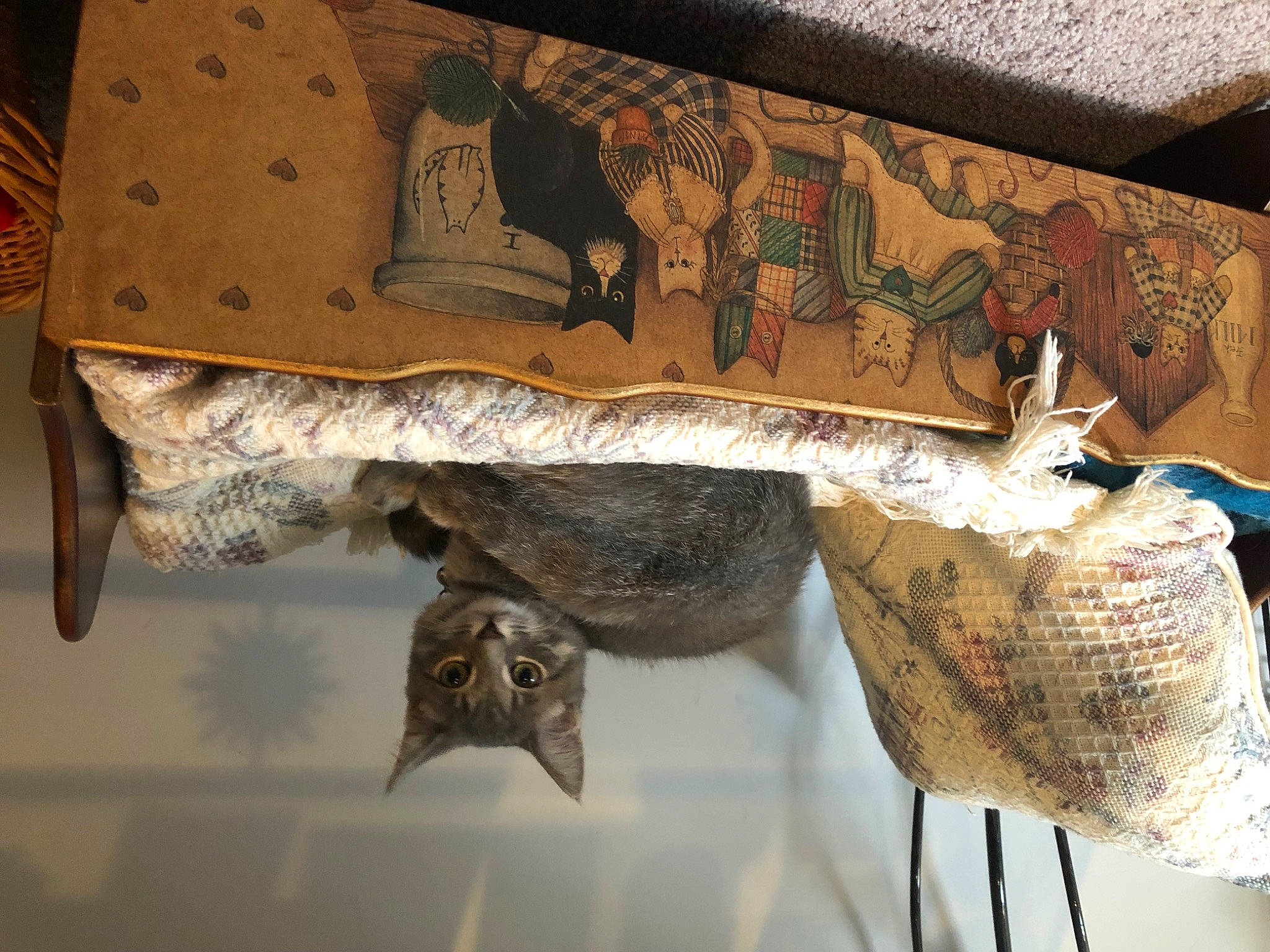 Jasper is registered to the contest to win money with this photo: antique, art, artifact, carving, ceiling, creative_arts, fish, home_accessories, interior_design, linens, metal, natural_material, pattern, rectangle, room, studio_couch, tail, vertebrate, visual_arts, wood