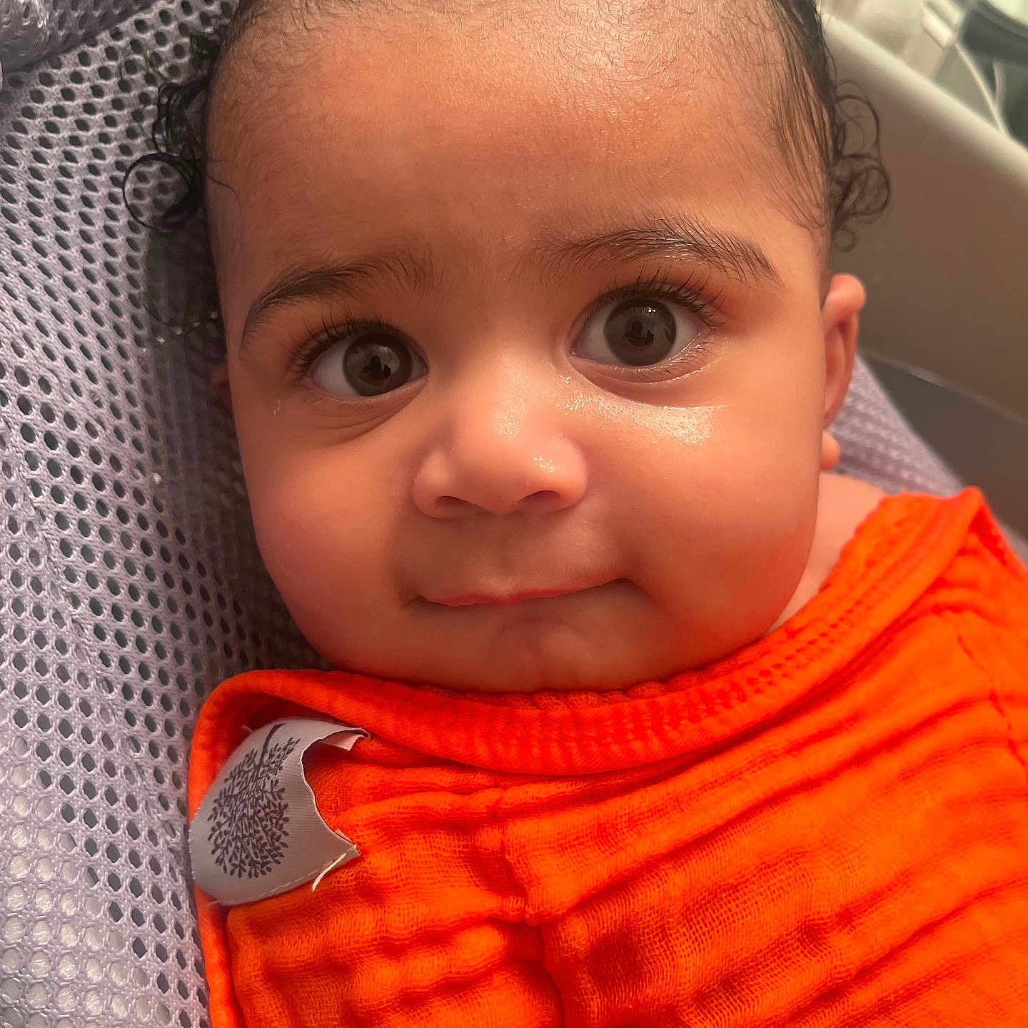 Kameron is registered to the contest to win money with this photo: accessories, animal, baby, beak, bird, bodypart, clothing, earring, face, finger, hand, happy, head, jewelry, knitwear, person, photography, portrait, smile, sweater