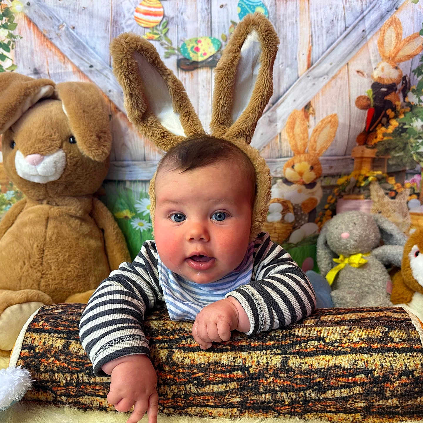 Wolfie joined the competition — help win amazing prizes! architecture, baby, building, couch, cushion, face, furniture, head, homedecor, indoors, interiordesign, person, photography, plant, plush, portrait, pottedplant, sitting, teddybear, toy