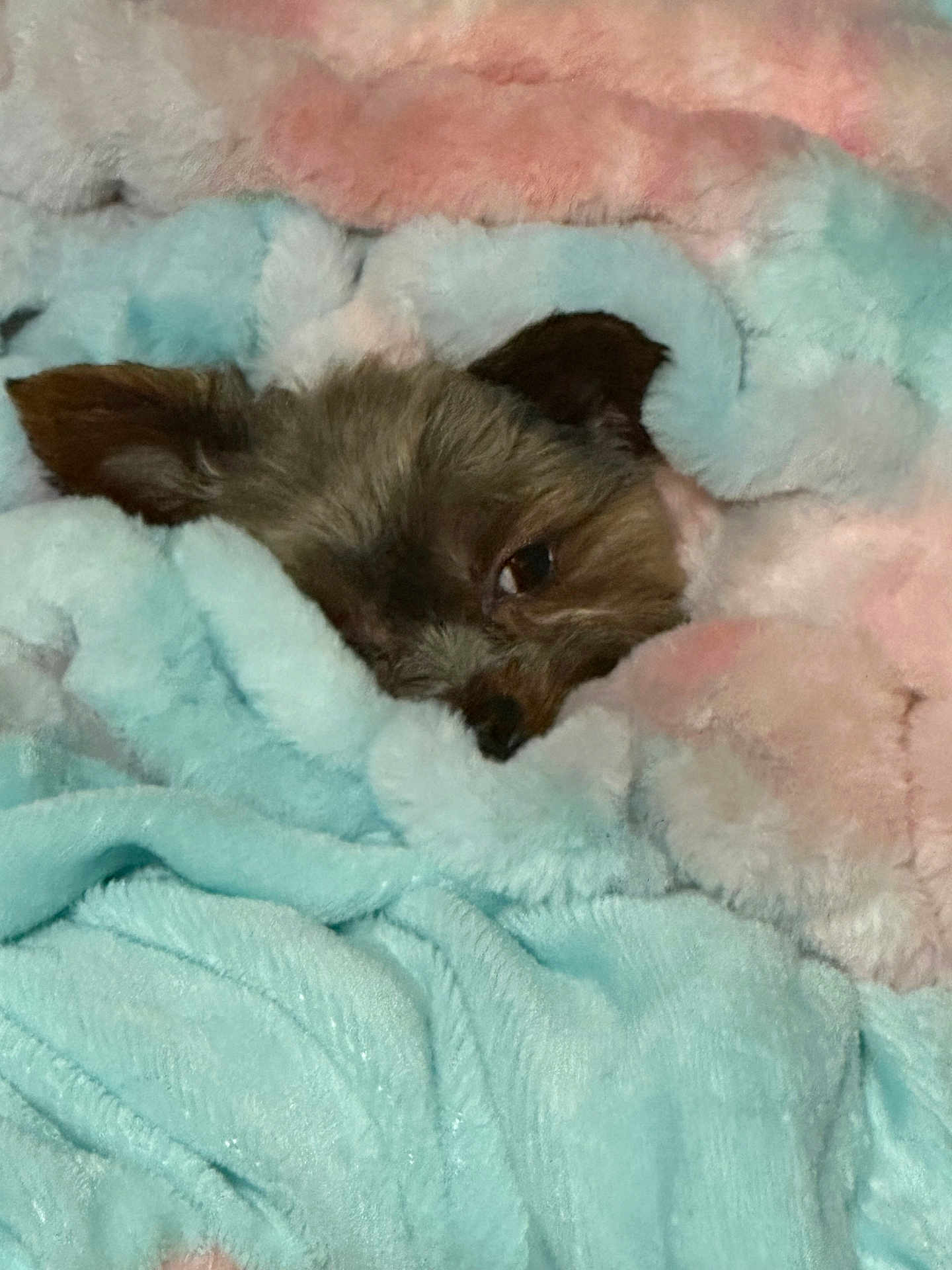 Oscar Lilman Johnson