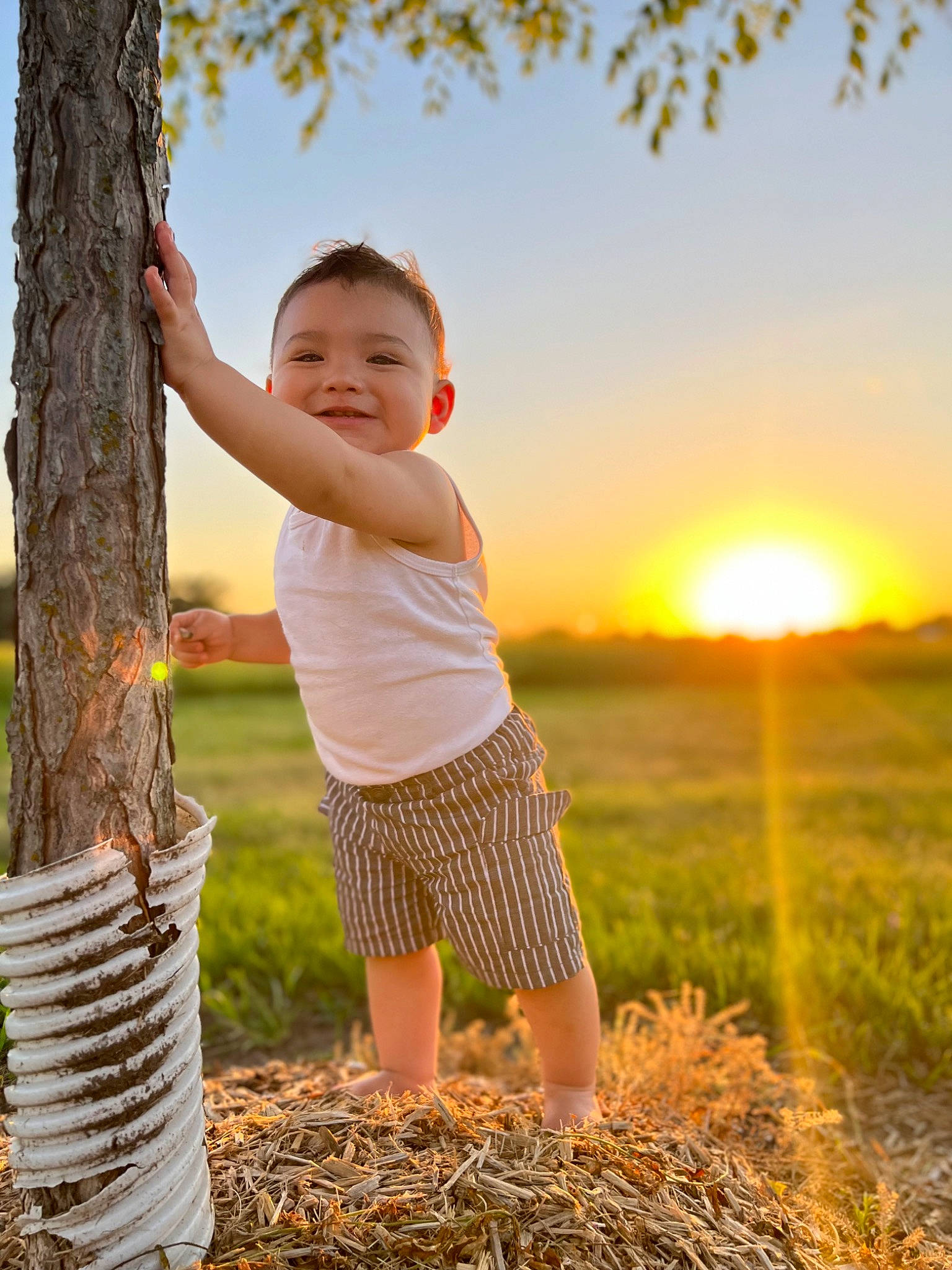 Nikolas is registered to the contest to win money with this photo: agriculture, child, flash_photography, fun, grass, grass_family, happy, joy, leisure, morning, nature, people_in_nature, person, plant, sky, summer, sunlight, toddler, tree, trunk